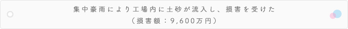 集中豪雨により工場内に土砂が流入し、損害を受けた（損害額：9,600万円）
